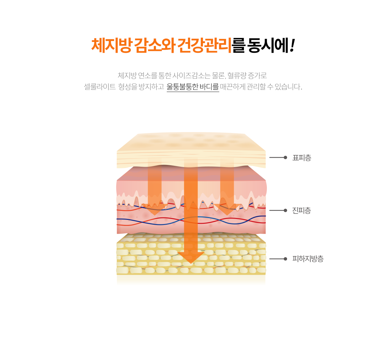 +SLIM 근육 보톡스 톡톡 줄어드는 근육 - 사각턱/바디의 근육에 주사하여 두께와 부피를 줄여 슬림한 라인을 만듭니다.